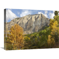 Marcellina Mountain near Crested Butte, Colorado-Canvas Art-24"x18"