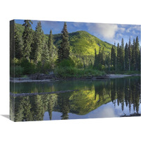 Pine River, Hart Ranges, British Columbia, Canada-Canvas Art-24"x18"