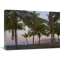 Moon setting, Playa Carillo, Guanacaste, Costa Rica-Canvas Art-24"x18"