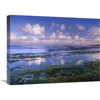 Tidepools and waves at Ho"okipa Beach, Maui, Hawaii-Canvas Art-24"x18"