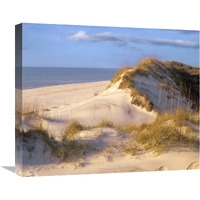 Coastal sand dunes, Saint Joseph Peninsula, Florida-Canvas Art-22"x18.26"