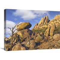 Rockpile, Davis Mountains, Chihuahuan Desert, Texas-Canvas Art-24"x18"