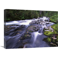 Paradise River, Mt Rainier National Park, Washington-Canvas Art-24&quotx18"