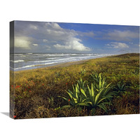 Apollo Beach at Canaveral National Seashore, Florida-Canvas Art-24&quotx18"