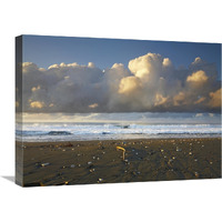 Beach and waves, Corcovado National Park, Costa Rica-Canvas Art-24"x18"