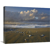 Beach and waves, Corcovado National Park, Costa Rica-Canvas Art-24&quotx20"