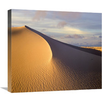 Sand dune, White Sands National Monument, New Mexico-Canvas Art-22&quotx19.58"