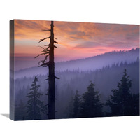 Sunset over forest, Crater Lake National Park, Oregon-Canvas Art-24&quotx18"