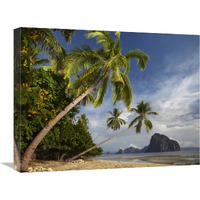 Palm trees, Pinagbuyutan Island, Palawan, Philippines-Canvas Art-24"x18"