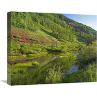 Rico Mountains and Dolores River backwaters, Colorado-Canvas Art-22&quotx18.26"