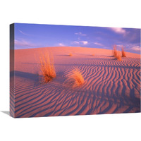 Gypsum dunes, Guadalupe Mountains National Park, Texas-Canvas Art-24&quotx18"