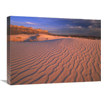 Gypsum dunes, Guadalupe Mountains National Park, Texas-Canvas Art-24"x18"