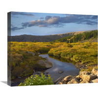 Alpine stream, Rollins Pass near Winter Park, Colorado-Canvas Art-22"x18.26"