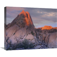 Moon over rocks, Joshua Tree National Park, California-Canvas Art-22&quotx18.26"