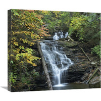 Delaware Falls, Ricketts Glen State Park, Pennsylvania-Canvas Art-22"x19.58"