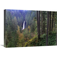 North Falls, Silver Falls State Park near Salem, Oregon-Canvas Art-24&quotx18"