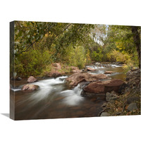 Oak Creek in Slide Rock State Park near Sedona, Arizona-Canvas Art-24"x18"