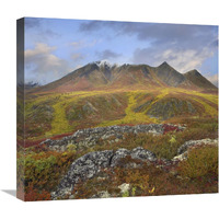 Cloudy Range, Tombstone Territorial Park, Yukon, Canada-Canvas Art-22&quotx20.02"