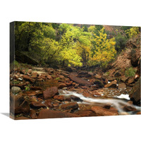 Zion Canyon near Emerald Pools, Zion National Park, Utah-Canvas Art-24"x18"