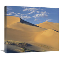 Sand dunes, Great Sand Dunes National Monument, Colorado-Canvas Art-22&quotx19.14"