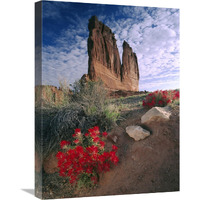 Paintbrush and the Organ Rock, Arches National Park, Utah-Canvas Art-18"x24"