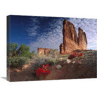 Paintbrush and the Organ Rock, Arches National Park, Utah-Canvas Art-24"x18"