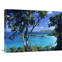 Caribbean seen through trees, Virgin Islands National Park-Canvas Art-24"x18"