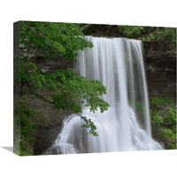 Cascading waterfall in Jefferson National Forest, Virginia-Canvas Art-22"x18.26"