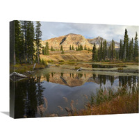 Ruby Range reflected in pond, Raggeds Wilderness, Colorado-Canvas Art-24"x18"