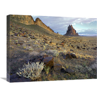 Shiprock, the basalt core of an extinct volcano, New Mexico-Canvas Art-24"x18"