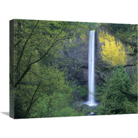 Latourell Falls, Columbia River Gorge near Portland, Oregon-Canvas Art-24"x18"