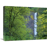 Latourell Falls, Columbia River Gorge near Portland, Oregon-Canvas Art-24"x20"