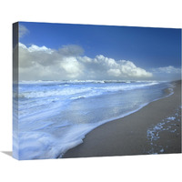 Storm cloud over beach, Canaveral National Seashore, Florida-Canvas Art-24"x20"