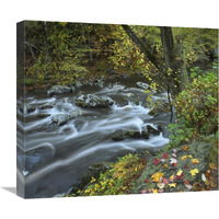 Little River, Great Smoky Mountains National Park, Tennessee-Canvas Art-22"x19.36"