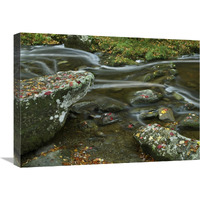 Laurel Creek, Great Smoky Mountains National Park, Tennessee-Canvas Art-24"x18"