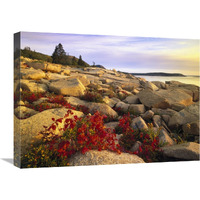 Atlantic coast near Thunder Hole, Acadia National Park, Maine-Canvas Art-24"x18"