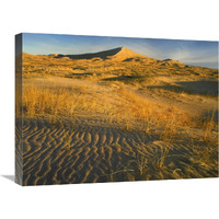 Kelso Dunes and grasses, Mojave National Preserve, California-Canvas Art-24"x18"