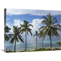 Coconut Palm trees, Bikini Beach, Panglao Island, Philippines-Canvas Art-24"x18"