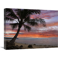 Coconut Palm at sunset near Dimiao, Bohol Island, Philippines-Canvas Art-24"x18"