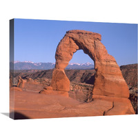 Delicate Arch and La Sal Mountains, Arches National Park, Utah-Canvas Art-24"x20"