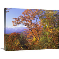 Great Smoky Mountains from, Blue Ridge Parkway, North Carolina-Canvas Art-24"x18"