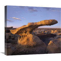 Eroded rock, Bisti Badlands, Bisti Wilderness Area, New Mexico-Canvas Art-22"x19.58"