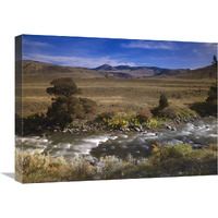 River flowing though meadow, Yellowstone National Park, Wyoming-Canvas Art-24"x18"