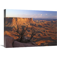 View from Green River overlook, Canyonlands National Park, Utah-Canvas Art-24"x18"