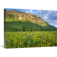 Gothic Mountain overlooking meadow near Crested Butte, Colorado-Canvas Art-24"x18"