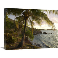 Wilkes Point at sunset with palm trees, Roatan Island, Honduras-Canvas Art-24&quotx18"