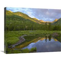 Pond and boreal forest, Ruby Range near Crested Butte, Colorado-Canvas Art-24"x20"