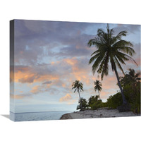 Coconut Palm trees, Pamilacan Island, Bohol Island, Philippines-Canvas Art-24"x18"