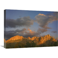 Sunlight illuminating Chisos Mountains, Chihuahuan Desert, Texas-Canvas Art-24"x18"