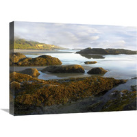 Seaweed covered rocks exposed at low tide, Neptune Beach, Oregon-Canvas Art-24"x18"